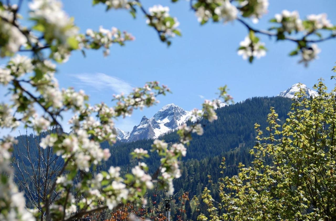 Landhaus Bergner Alm Fusch an der Glocknerstraße Exteriér fotografie