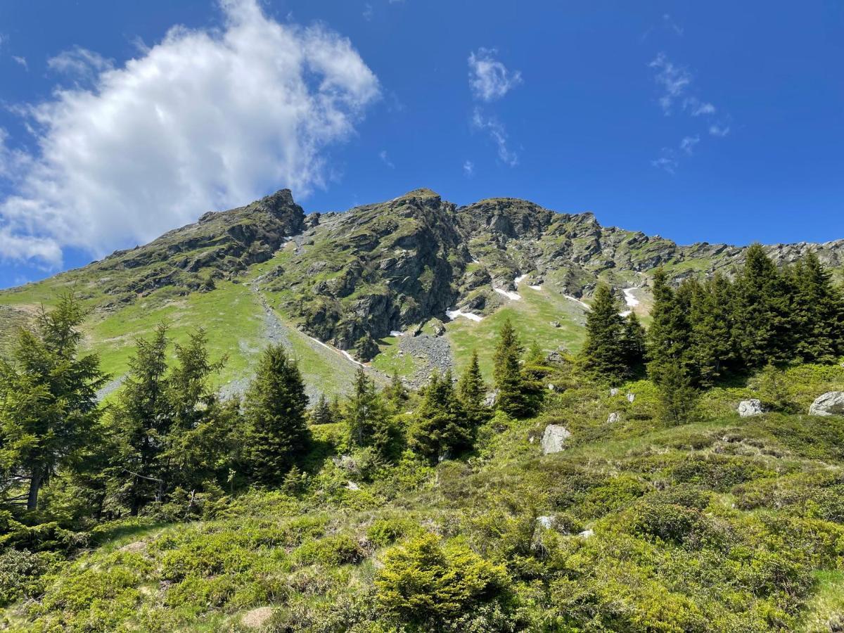 Landhaus Bergner Alm Fusch an der Glocknerstraße Exteriér fotografie