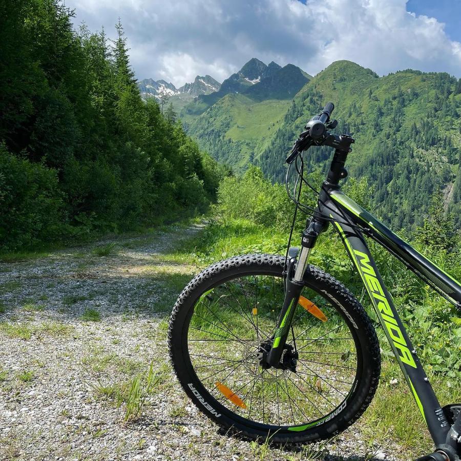 Landhaus Bergner Alm Fusch an der Glocknerstraße Exteriér fotografie
