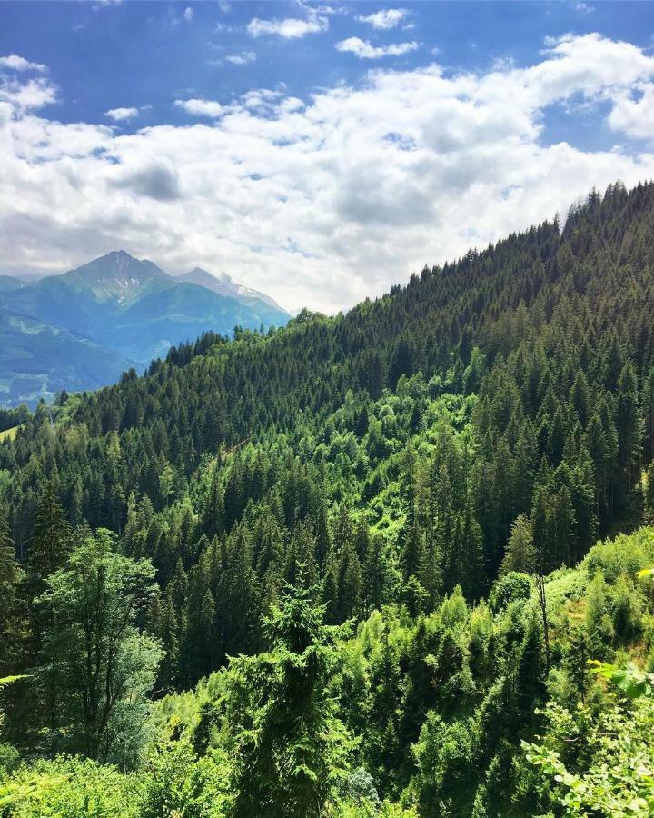 Landhaus Bergner Alm Fusch an der Glocknerstraße Exteriér fotografie